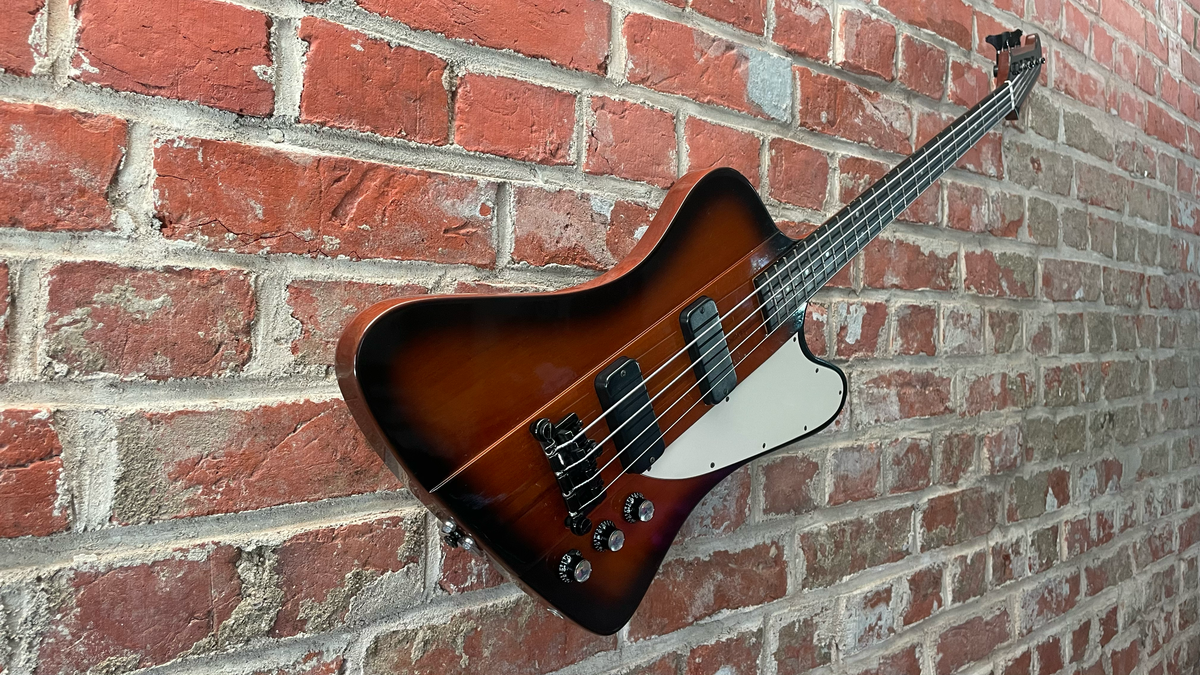 WALLter / für Gitarren & Bässe mit einem Gurtpin auf der Korpusrückseite / mit Instrument