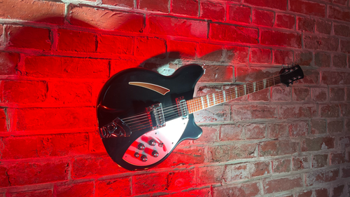 WALLter / für Gitarren & Bässe mit beiden Gurtpins auf der Zarge / mit Instrument